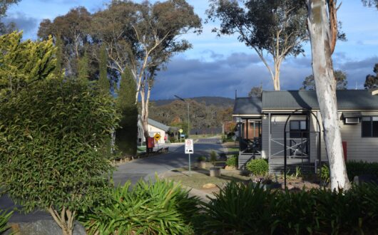 Gum-lined street through Eaglehawk Park
