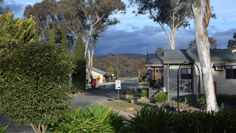 01-eaglehawk-park-gum-lined-street-hills