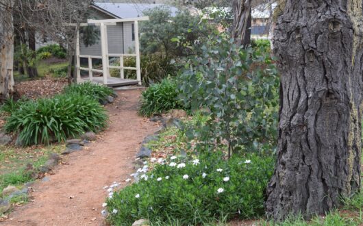 Gravel path with a bridge crossing winding through the gardens, with daisies in flower