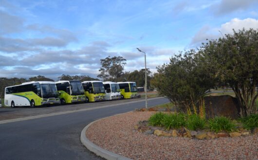 Five coaches parked along the road inside the park
