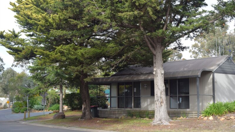 One Bedroom Cabin exterior seen past a large tree from the street