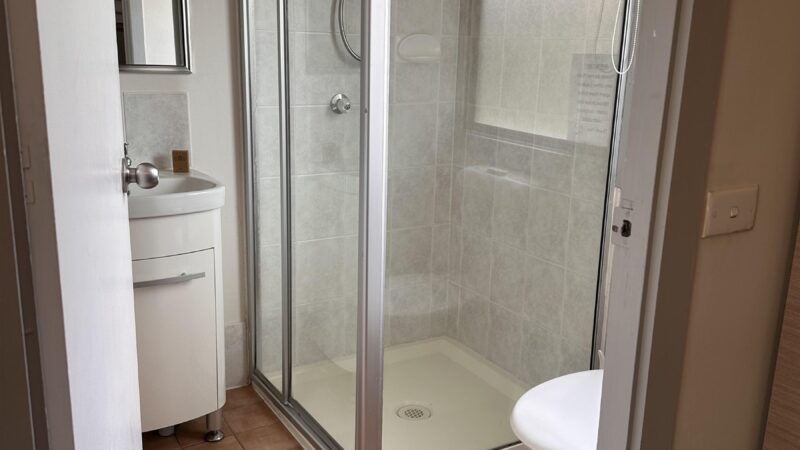 Cabin bathroom with a glass shower, vanity and toilet