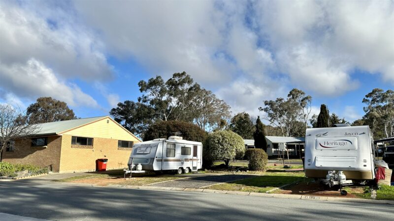 Caravans set up on powered sites along the road at Eaglehawk Park